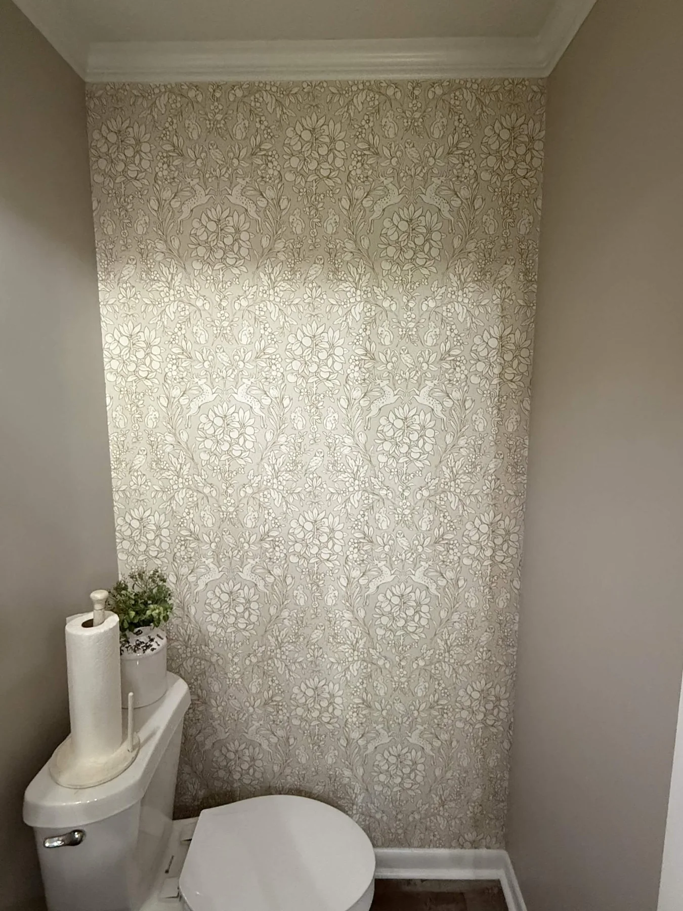 Patterned wallpaper accent wall installed behind a toilet